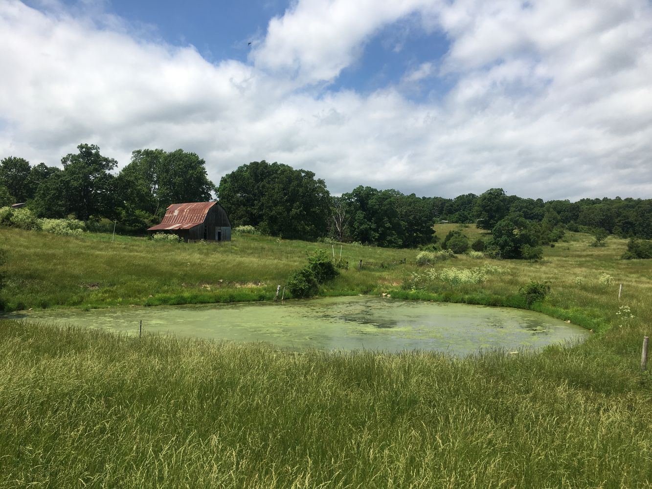 4897 & 4878 Norman Drive, Hartville, MO 65667